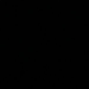 Meet your Posher, Kurtis